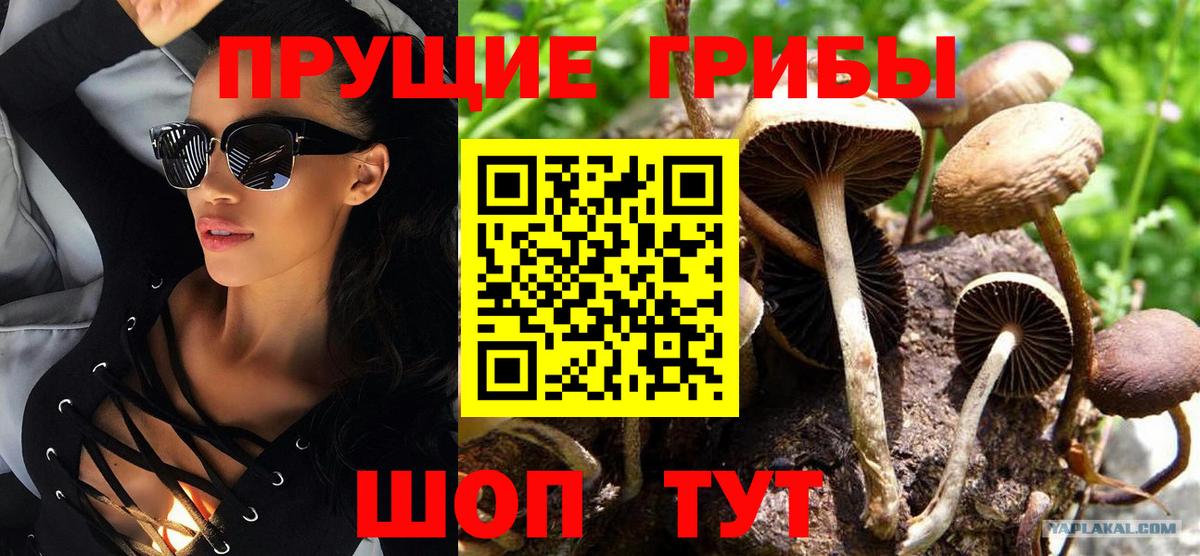 Галлюциногенные грибы мухоморы Кохма