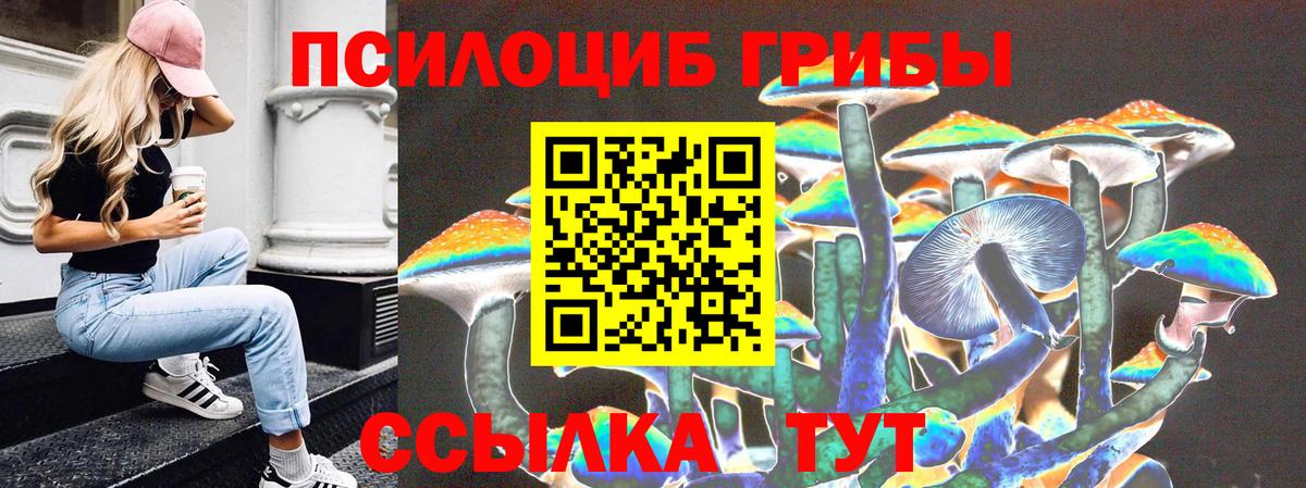 где можно купить наркотик  Галлюциногенные грибы Psilocybe  Вход с VPN  Кохма 